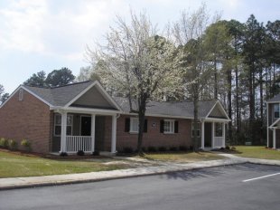 plantation6