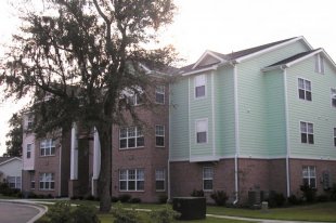 shell_pointe1